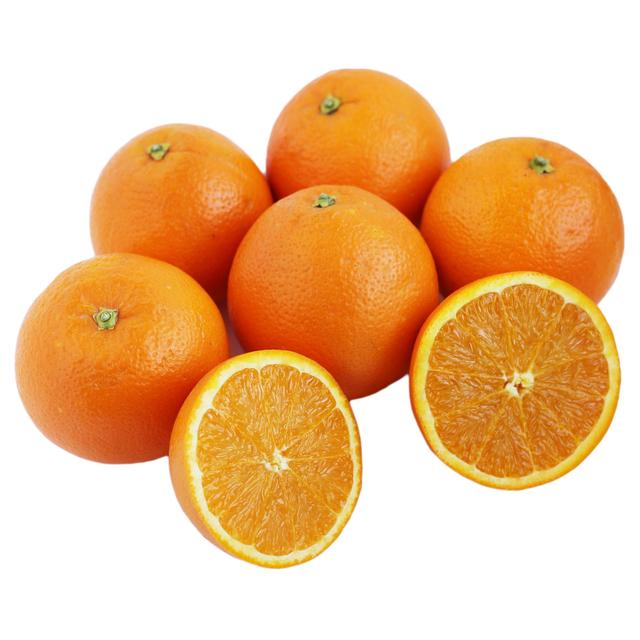 product-16